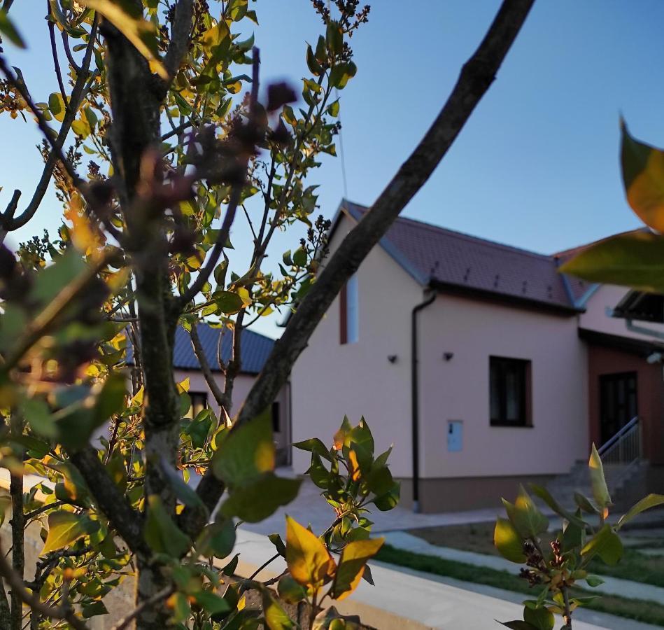 Agroturizam Opg Jakopovic Caglin Exterior photo